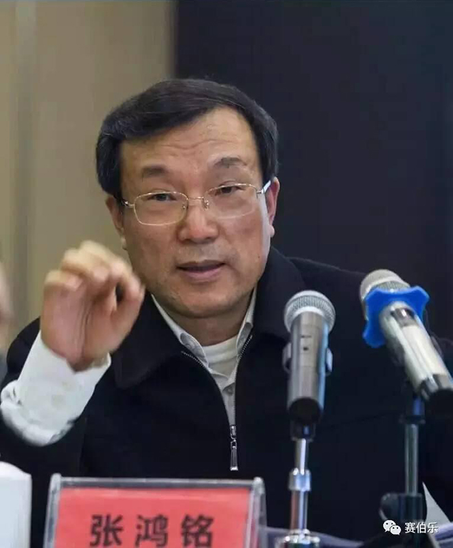 杭州市長張鴻銘考察建德賽伯樂航空小鎮(zhèn)