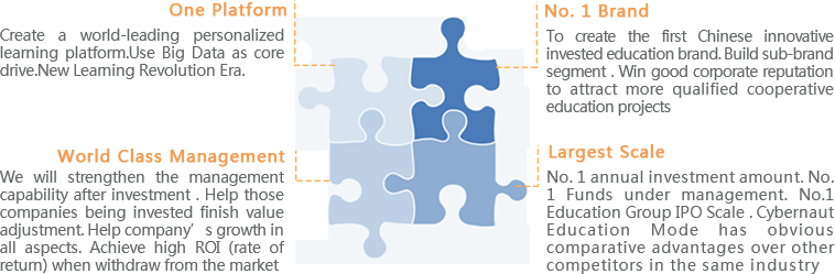 Cybernaut Education Industry